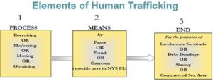 The Elements of Human Trafficking