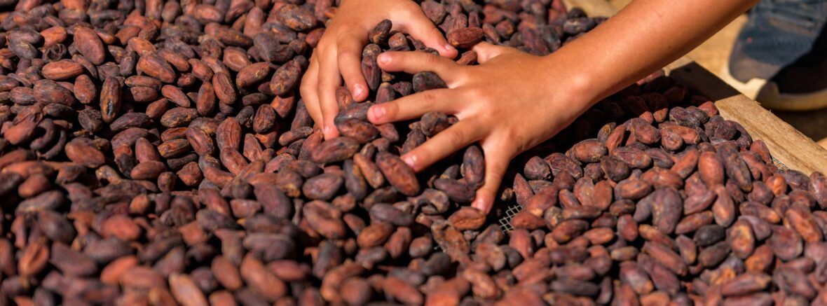fighting labor trafficking in cocoa and chocolate production